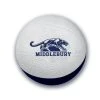 The Middlebury Shop Middlebury Panther Foam Basketball -maiddlebury shop Middlebury Foam Basketball