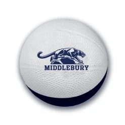 The Middlebury Shop Middlebury Panther Foam Basketball