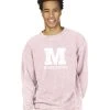Charles River Apparel Middlebury Camden Crew (Pink) -maiddlebury shop Middlebury Pink Camden Crew 9930B