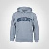 Russell Athletic Middlebury Youth Hooded Sweatshirt (grey) -maiddlebury shop Middlebury Youth Hood GP